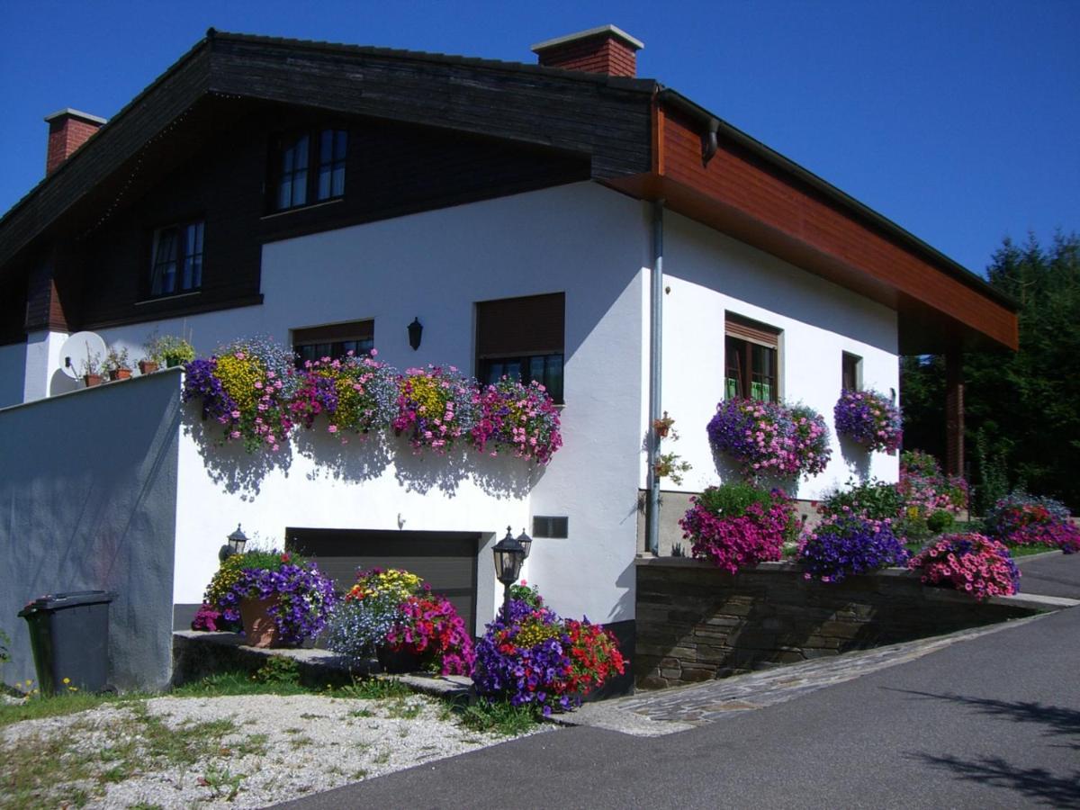 Appartement Haus Wutzl à Mariazell Extérieur photo